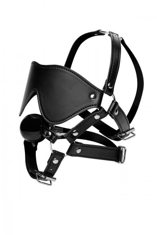 Blindfold Harness W/ Ball Gag