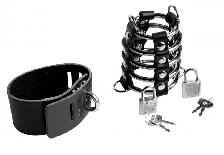Gates of Hell Chastity Device