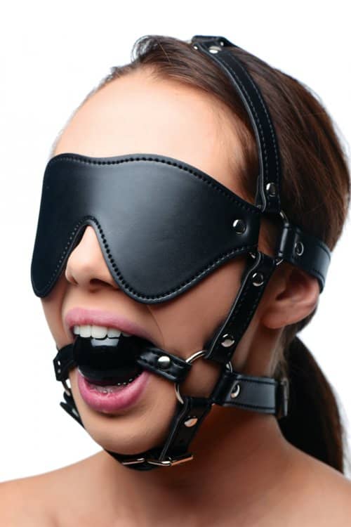 Blindfold Harness W/ Ball Gag