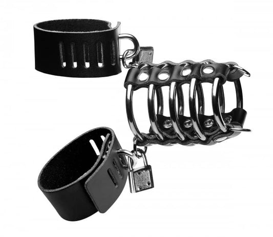 Gates of Hell Chastity Device