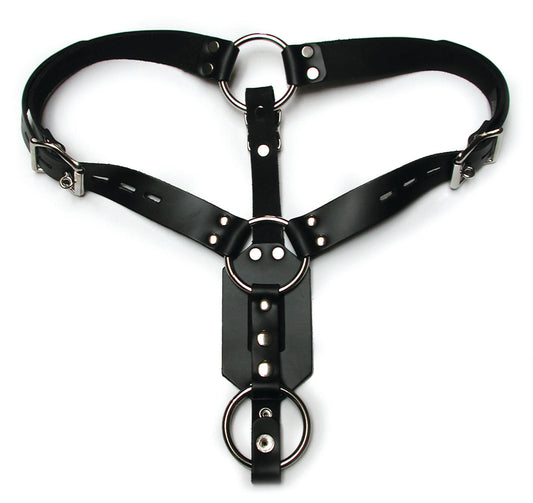 Butt Plug Harness