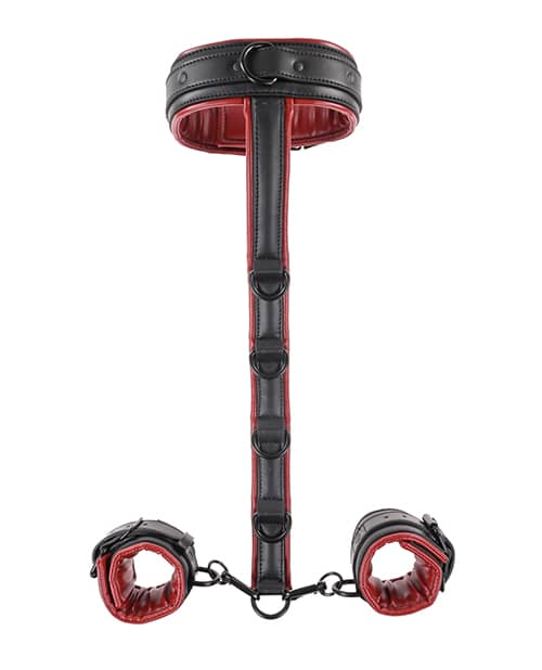 Sujeción de cuello y muñecas Saffron