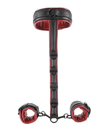 Sujeción de cuello y muñecas Saffron