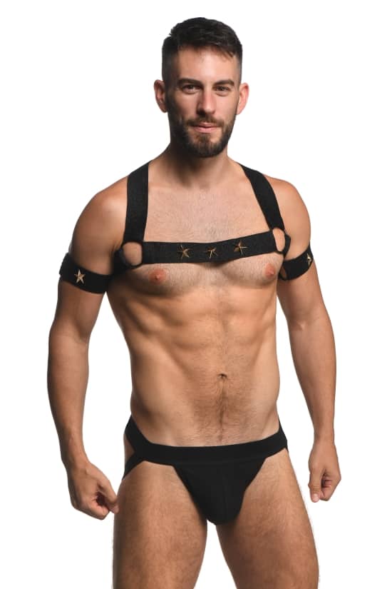 Elastic Chest Harness W/ Arm Bands