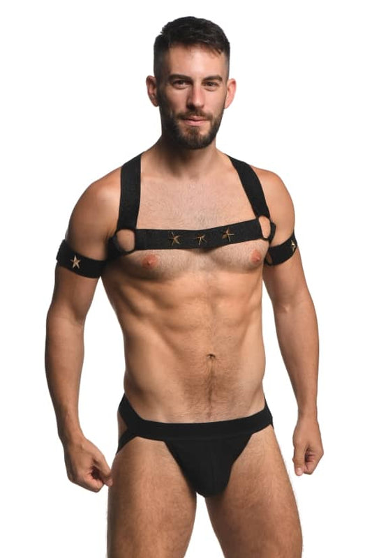 Elastic Chest Harness W/ Arm Bands